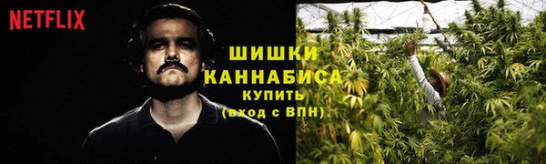 ПСИЛОЦИБИНОВЫЕ ГРИБЫ Арсеньев