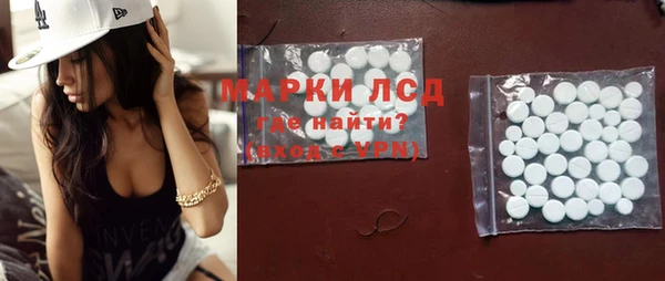 ПСИЛОЦИБИНОВЫЕ ГРИБЫ Арсеньев