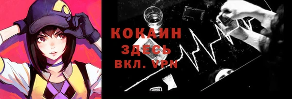 ПСИЛОЦИБИНОВЫЕ ГРИБЫ Арсеньев