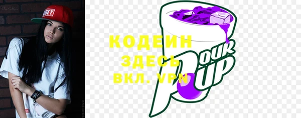 ПСИЛОЦИБИНОВЫЕ ГРИБЫ Арсеньев