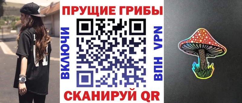 Галлюциногенные грибы MAGIC MUSHROOMS  ОМГ ОМГ как зайти  Борзя 