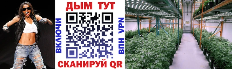 Бошки марихуана VHQ  Борзя 
